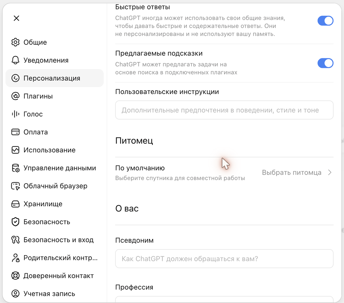 Ниже в «Персонализации»: поле «Пользовательские инструкции» и раздел «О вас» — псевдоним, профессия